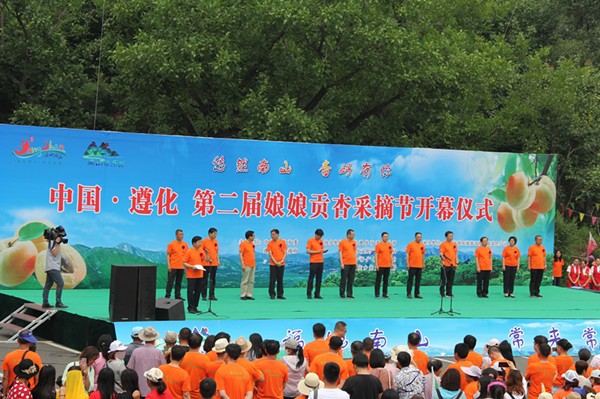 中国遵化第二届娘娘贡杏采摘节在南山常乐谷景区盛大开幕